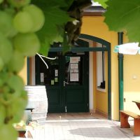 gastgarten-weingut-bernreiter
